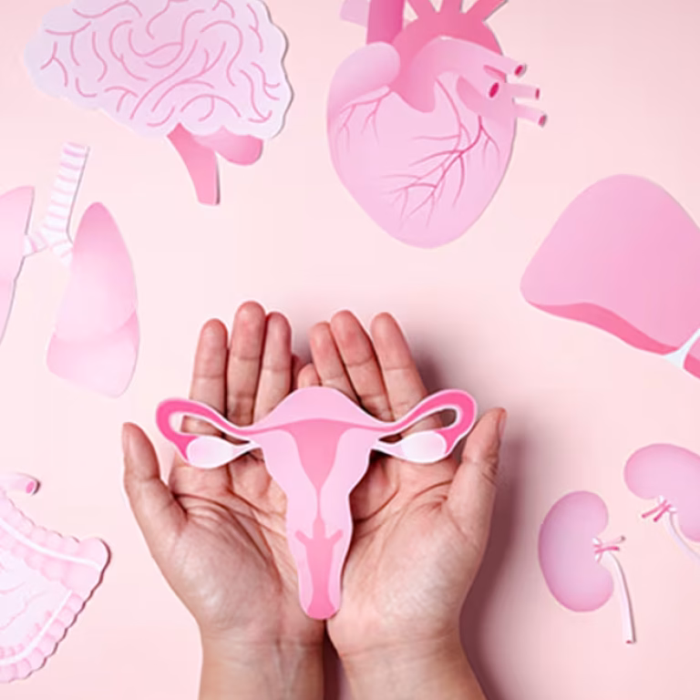 CH_Menopause_vs_Perimenopause_330x380